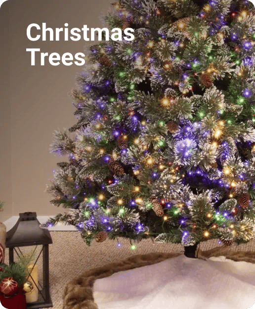 Christmas Trees
