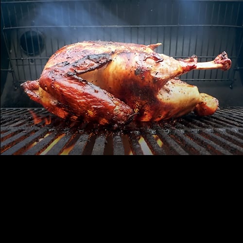 Grilled Turkey