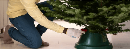 How To Set Up A Real Christmas Tree