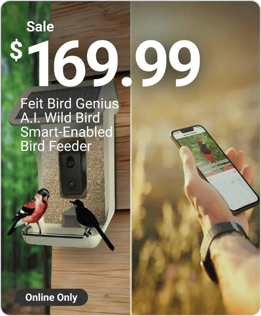 Sale $169.99 Feit Bird Genius A.I. Wild Bird Smart-Enabled Bird Feeder - Online Only