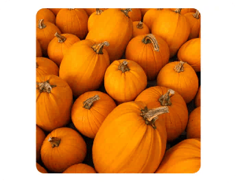 Pumpkins