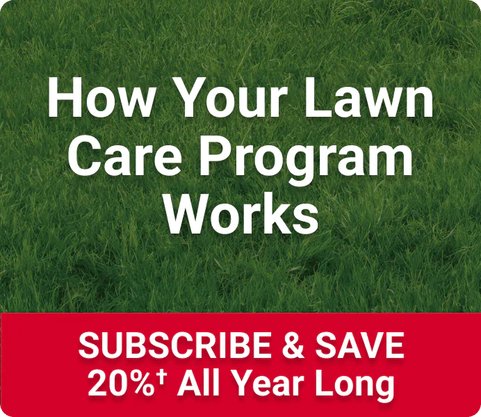How Your Annual Lawn Care Program Works