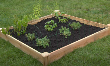 Start a Garden