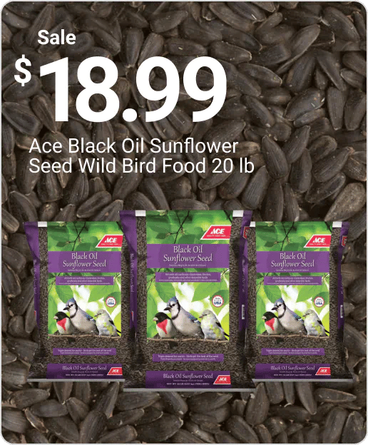 Sale $18.99 Ace Black Oil Sunflower Seed Wild Bird Food 20 lb