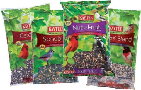 kaytee bird seed