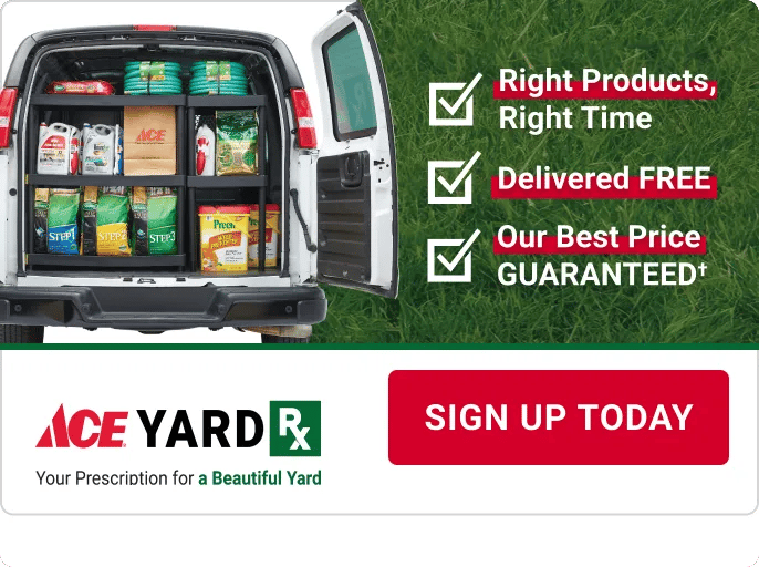 Your prescription for a beautiful yard