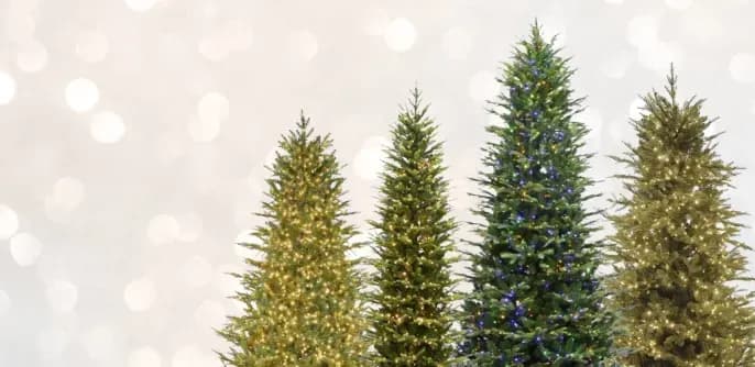 Christmas Trees