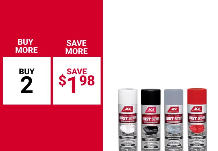 Buy More and Save on select Ace Rust Stop Spray Paint 15 oz. 