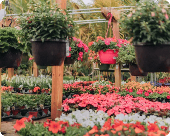 Garden place at your local Ace