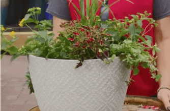 Fill a Planter like a Pro