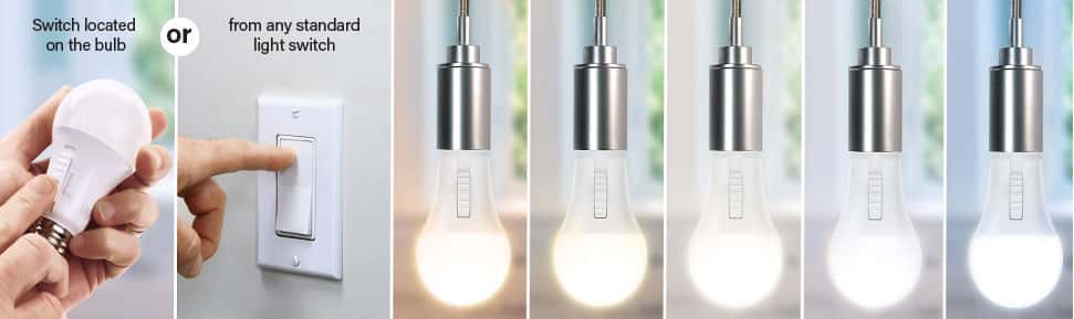 Feit Light Bulbs