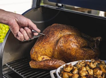 TRAEGER MEATER® PLUS WIRELESS MEAT THERMOMETER (HONEY) - St. Louis