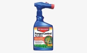 Fungicides