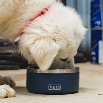 Yeti Boomer Dog Bowl, Is It Worth $50?