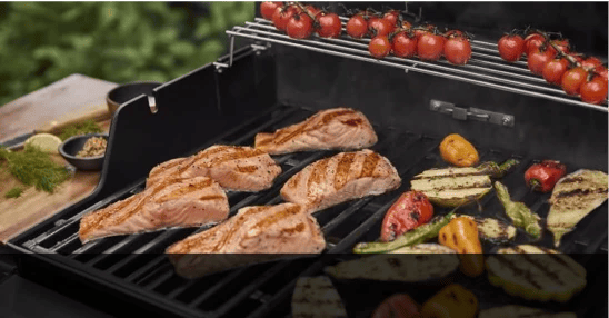Weber Spirit E-425 vs. EP-425