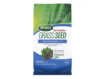Grass Seeds