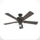 Ceiling Fans