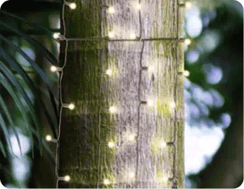 Net Lights