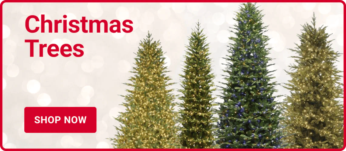 Christmas Trees - Shop Now