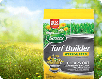 Kill Weeds & Feeds