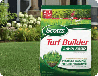 Feed Your Lawn
