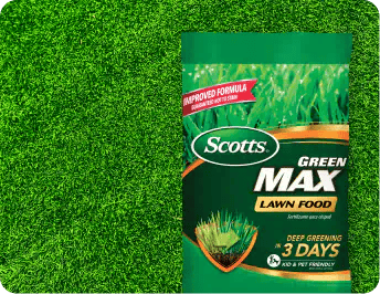 Greener Lawn
