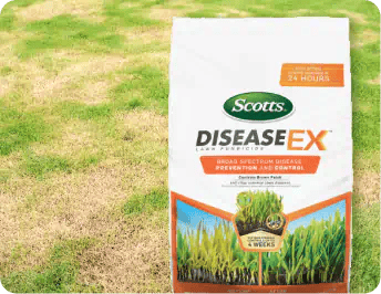 Garden & Lawn Disease