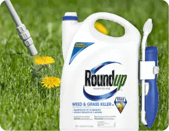 Weed Control
