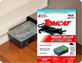 Insect & Pest Control