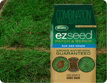 Patch & Repair Grass