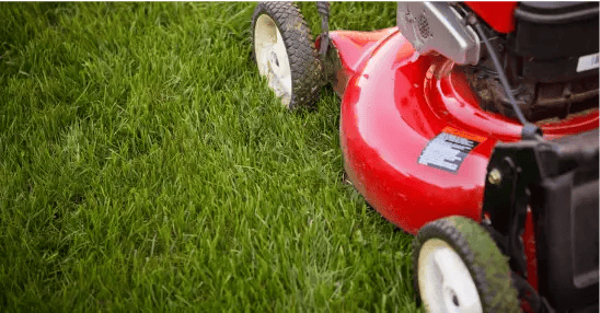 What To Do With Your Lawn Mower After The Season