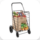 Shopping Carts and Bags