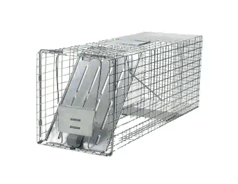 Animal Traps