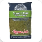 Mosses