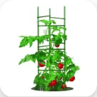 Plant Support & Accessories