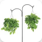 Plant Hangers