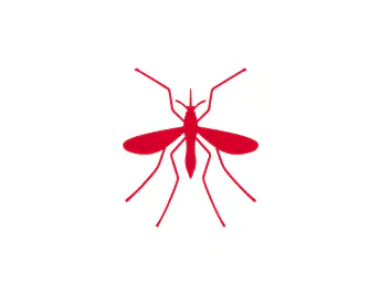 Mosquitoes