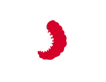 Grubs