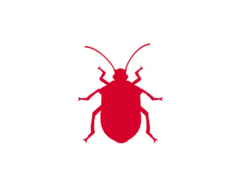 Beetles