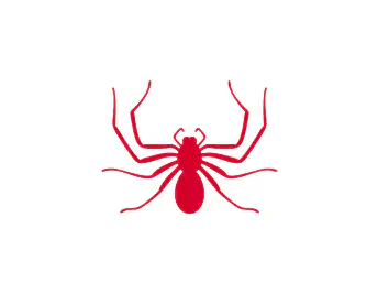Spiders