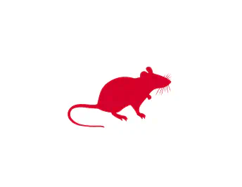 Mice