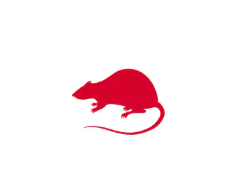 Rats