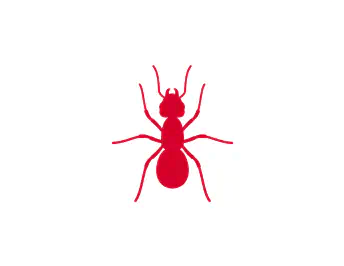Ants