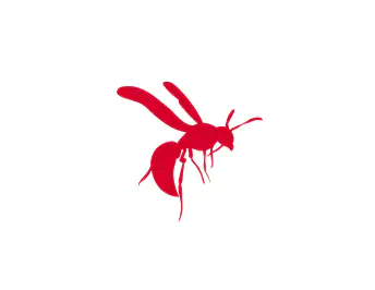 Wasps