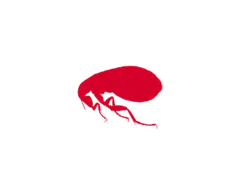 Fleas & Ticks