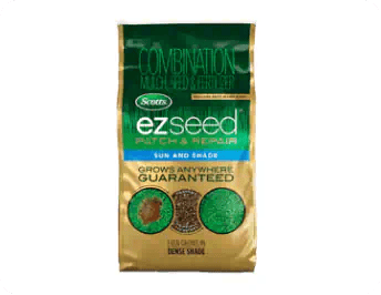 Grass Seeds