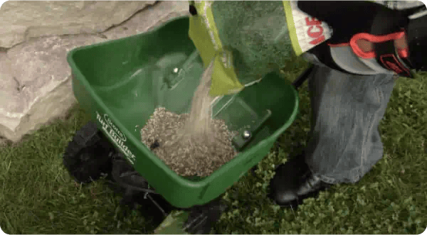 How to Fertilize Your Lawn