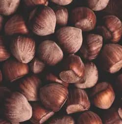 Hazelnuts
