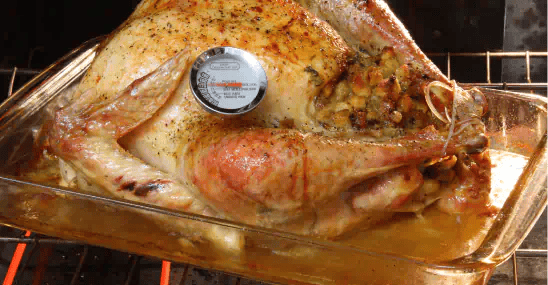 How to Check your Turkey Temperature