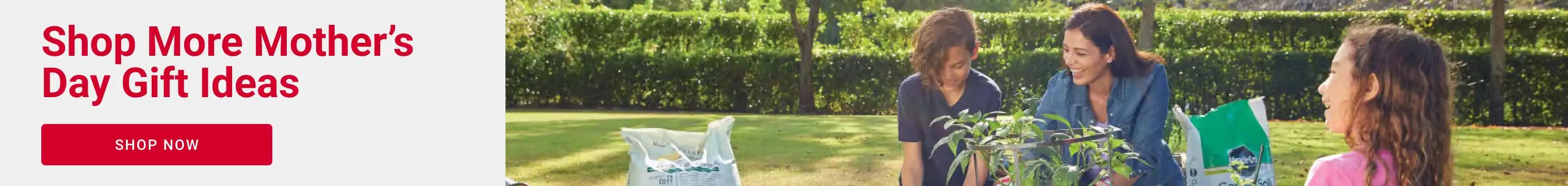 Shop More Mother's Day Gift Ideas
